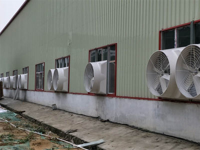 注塑廠老板選購(gòu)負(fù)壓風(fēng)機(jī)知識(shí),了解這5點(diǎn)就能避免選錯(cuò)產(chǎn)品!