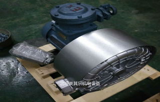 防爆5.5kw高壓風(fēng)機(jī)