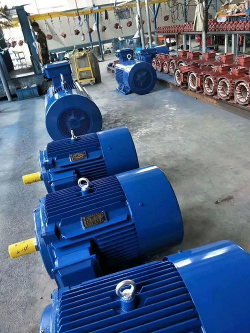 專業(yè)生產(chǎn)三項異步電動機(jī),風(fēng)機(jī)風(fēng)機(jī)箱配套電機(jī)